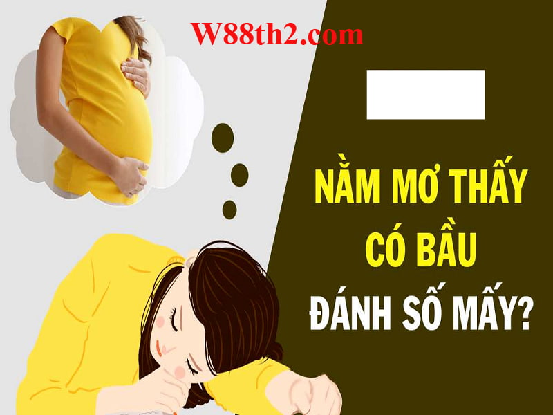 Mơ thấy bà bầu đánh số gì?