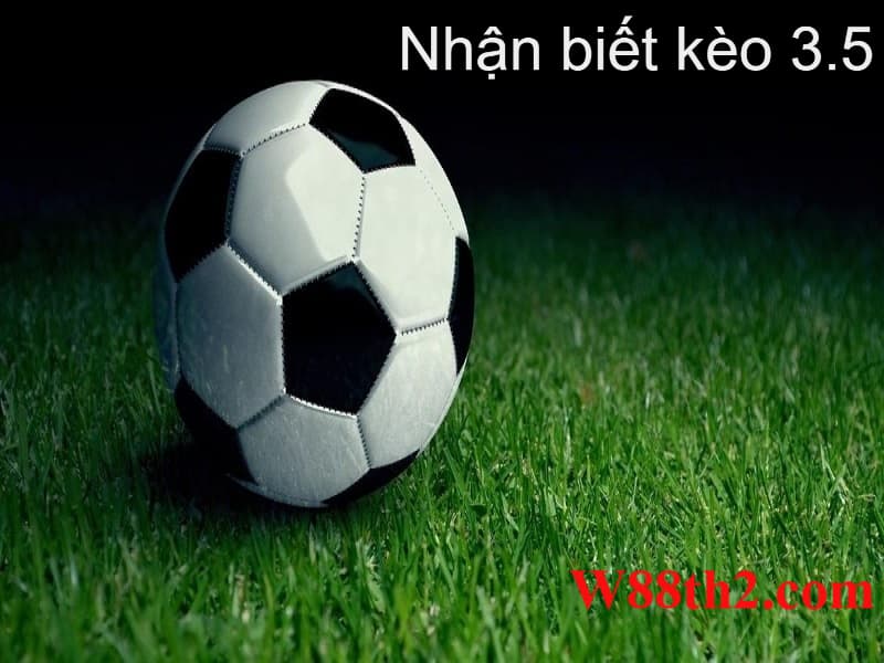 kèo 3.5 là gì Kèo 3.5 là gì