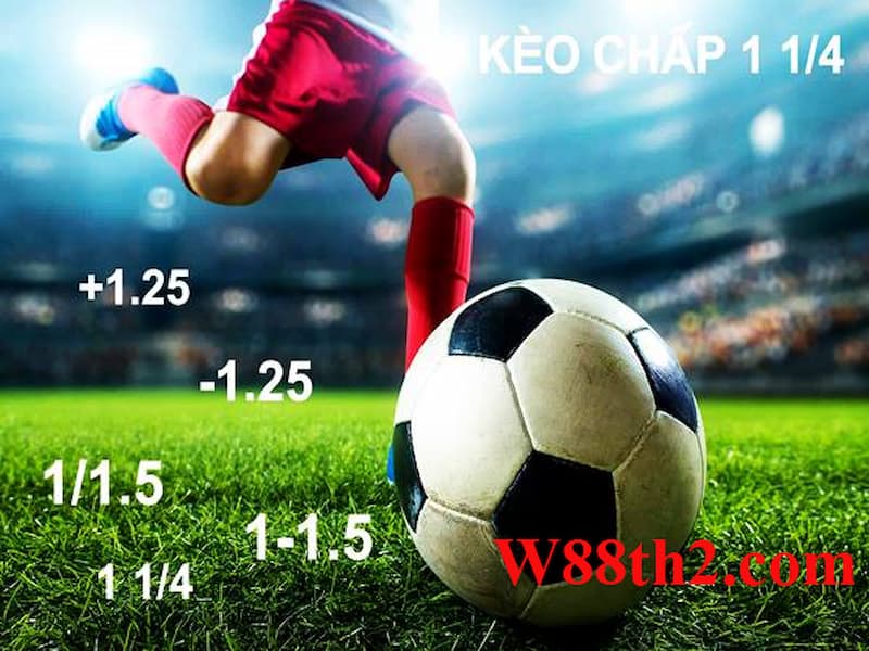 Kèo chấp 1 1/4 là sao