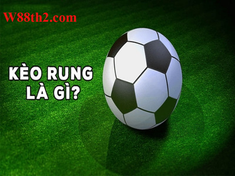 Cách đọc kèo rung chính xác
