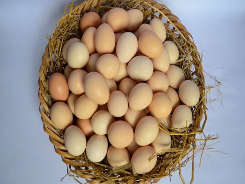 Mơ thấy nhiều trứng gà, vịt là tin tốt