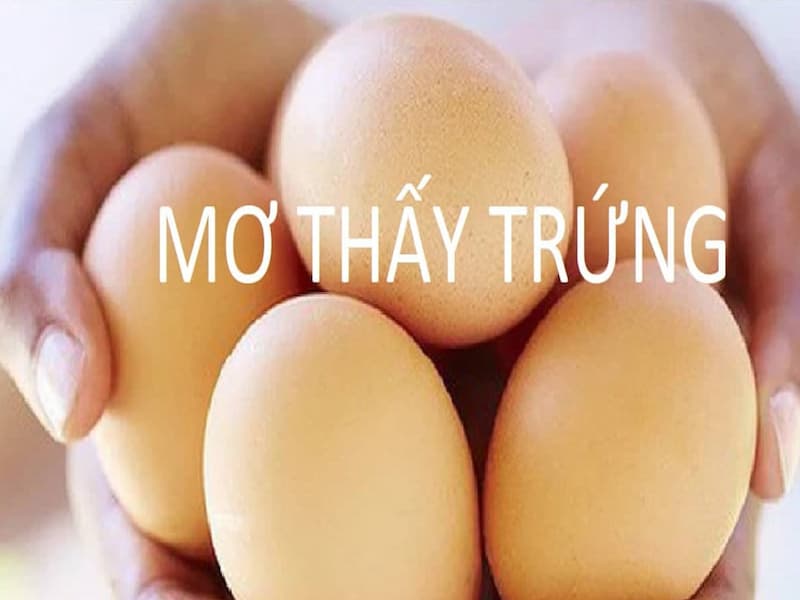 Tùy vào giấc mơ thấy trứng gì thì bạn sẽ đánh con số phù hợp