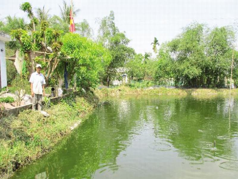 Mơ thấy ao cá nhưng không có cá ám chỉ bạn nên cẩn thận