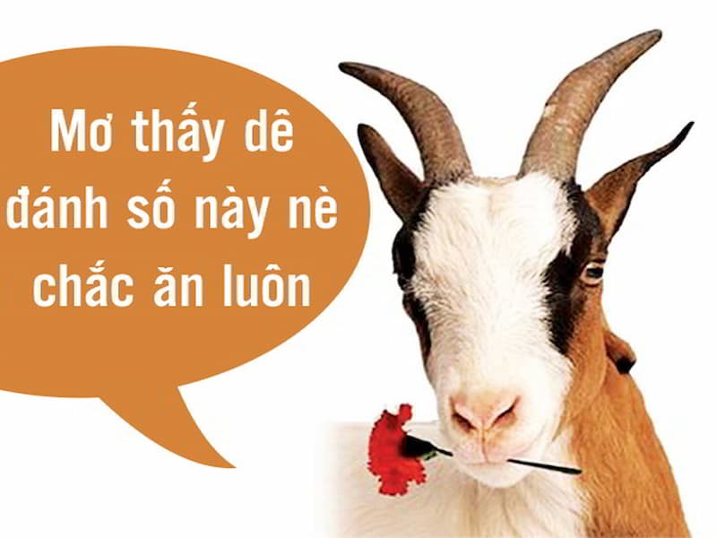 Mơ thấy dê đánh cặp nào để mang may mắn về