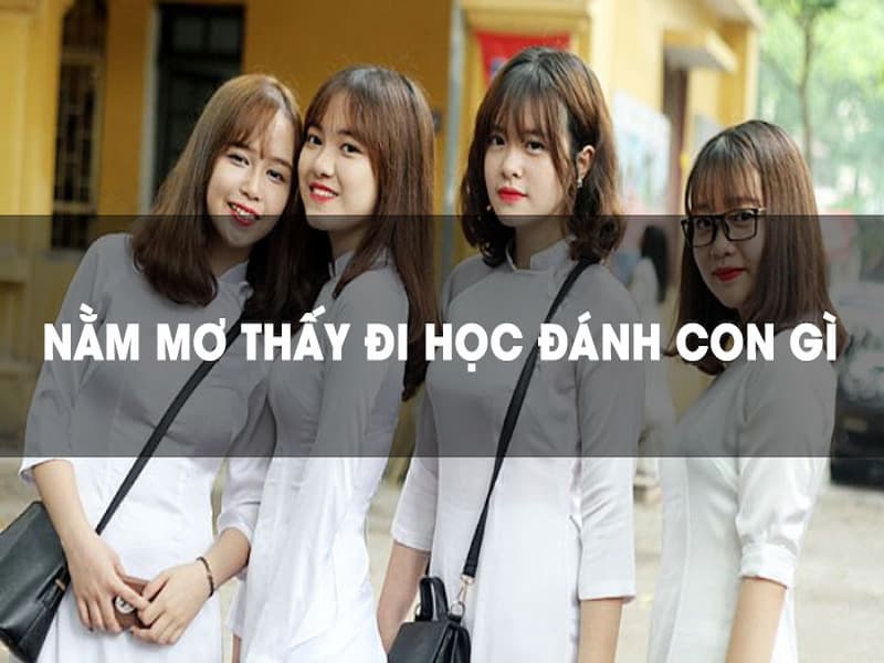 Dựa vào tình huống của giấc mơ đi học để bạn đưa ra lựa chọn