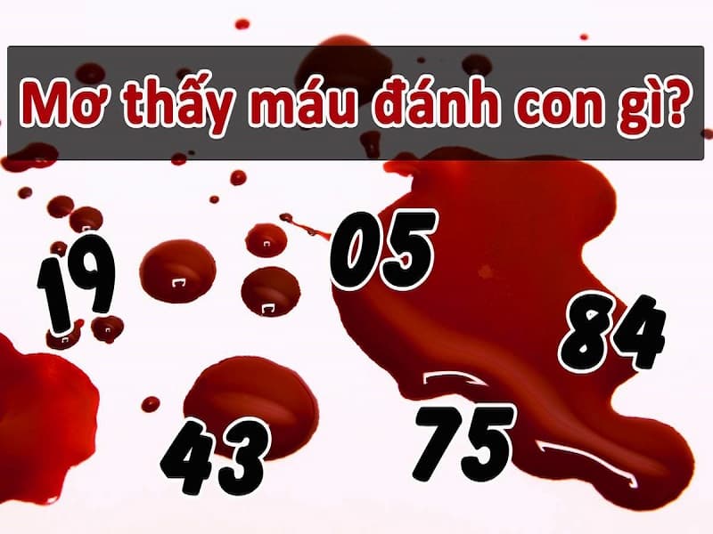 Nên đánh con gì khi bạn gặp giấc mơ thấy máu