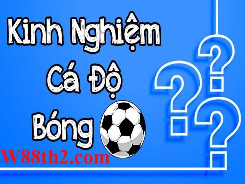 kinh nghiệm cá độ đá banh kinh nghiệm cá độ đá banh