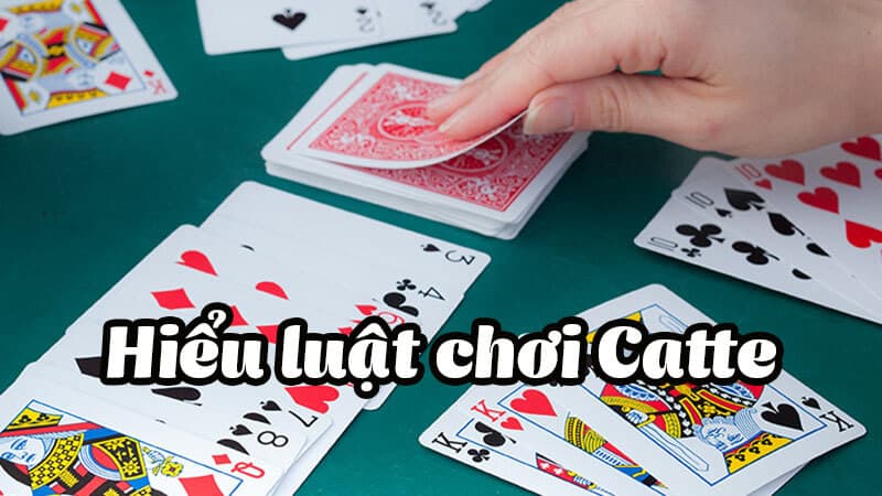 Cách chưng bài Catte