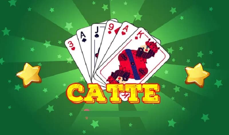 Cách chưng bài catte
