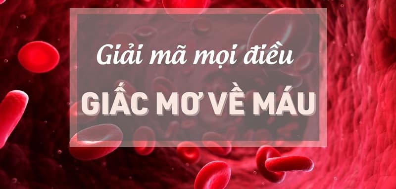 Bị chảy máu đánh con gì