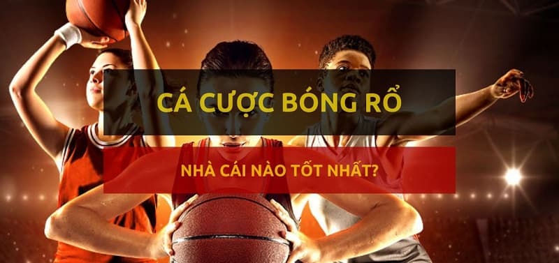 Bóng rổ online bóng rổ online