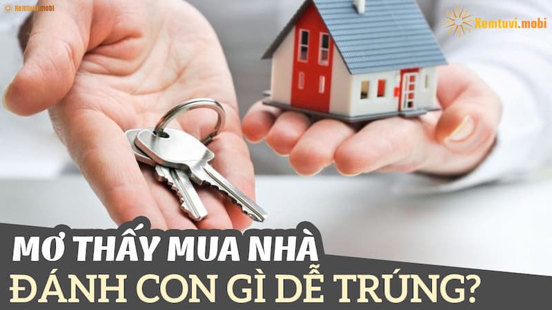 mơ mua nhà