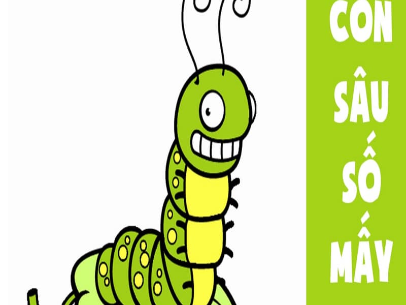 Tìm hiểu về con sâu số mấy