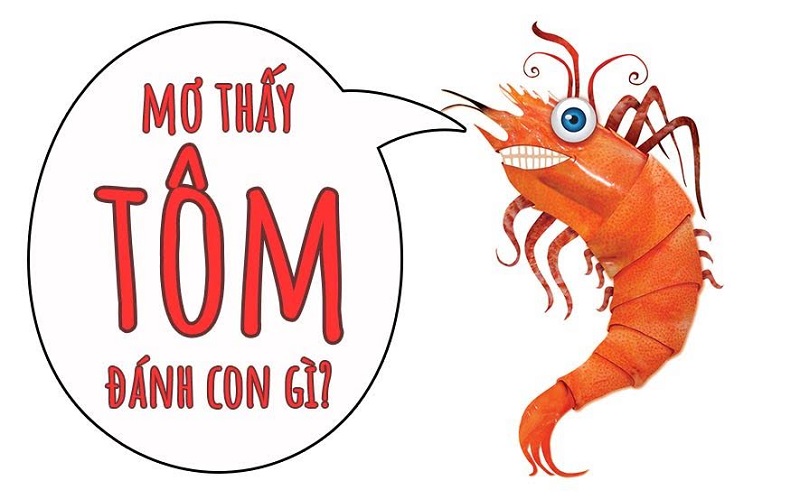 Gợi ý con số đánh đề khi mơ thấy tôm