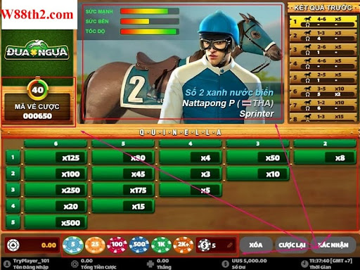 ประเภทของการเดิมพันในเกมตู้ม้าออนไลน์