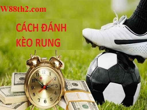 ประสบการณ์เดิมพันบอลสด