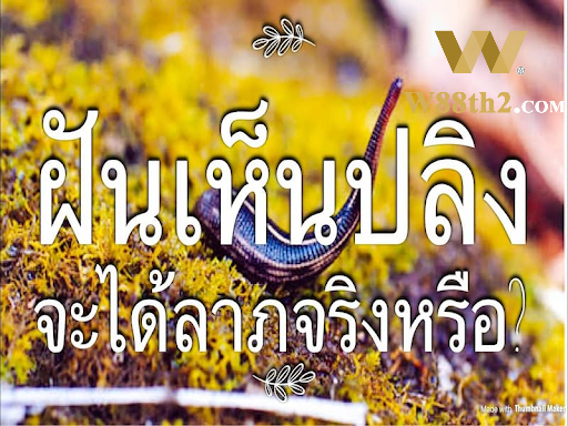 ฝันเห็นปลิงตีเป็นเลขอะไร