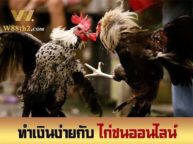 w88 ไก่ชน w88 ไก่ชน