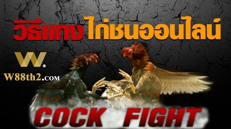 w88 ไก่ชน w88 ไก่ชน