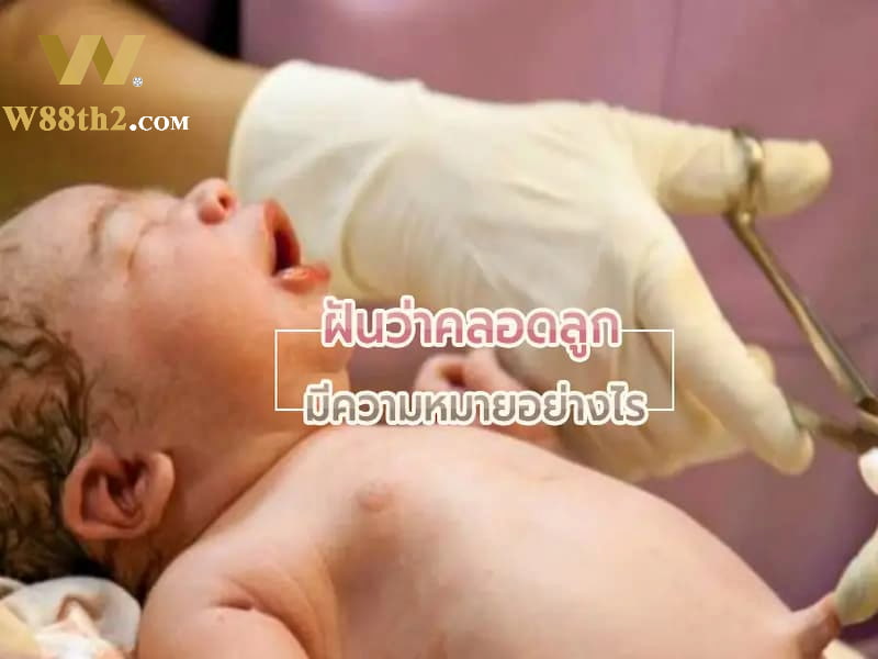 ฝันว่าคลอดลูกปีกุน ฝันว่าคลอดลูกปีกุน