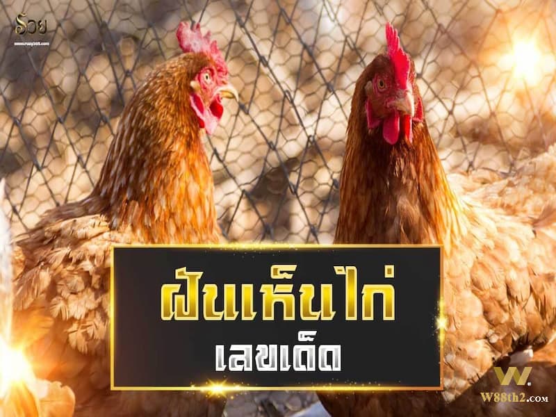 ฝันเห็นไก่ออกไข่ ฝันเห็นไก่ออกไข่