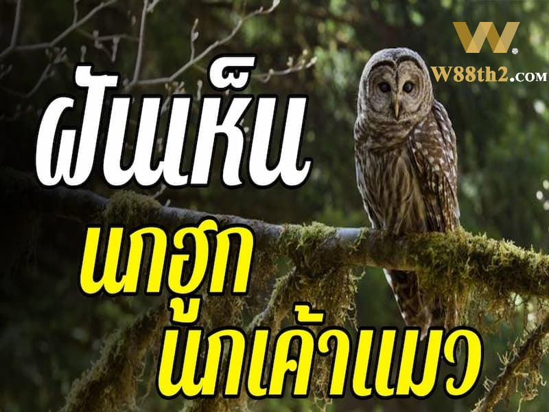 ฝันเห็นได้ยินเสียงนกฮูกร้อง ฝันเห็นได้ยินเสียงนกฮูกร้อง
